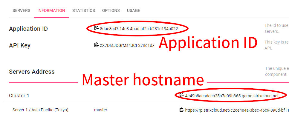 Application ID and master host name on the information view