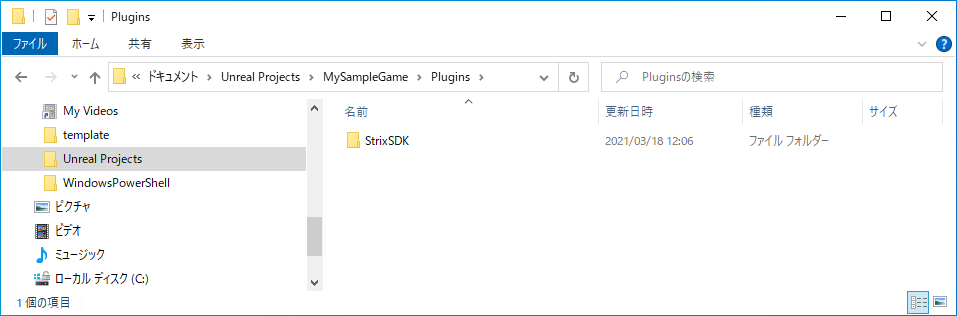 StrixSDK directory copied into Plugins directory