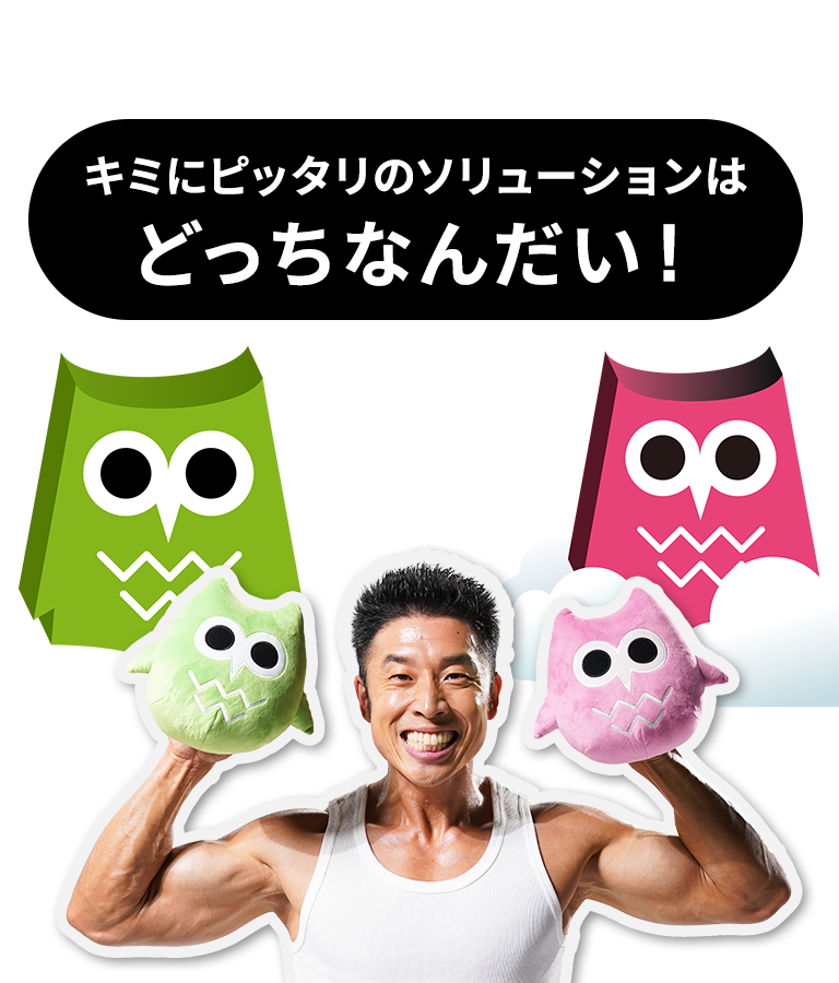 キミにピッタリのソリューションはどっちなんだい!