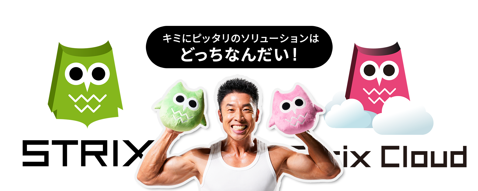 キミにピッタリのソリューションはどっちなんだい!